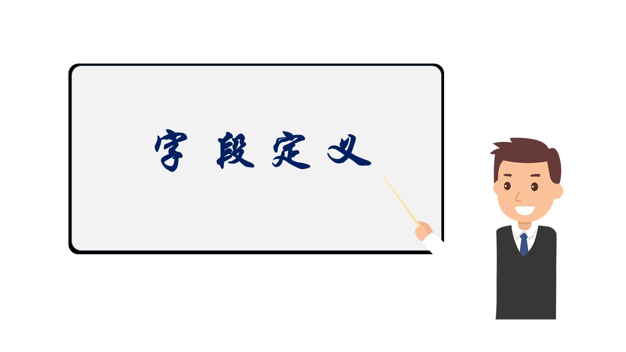 字段定义